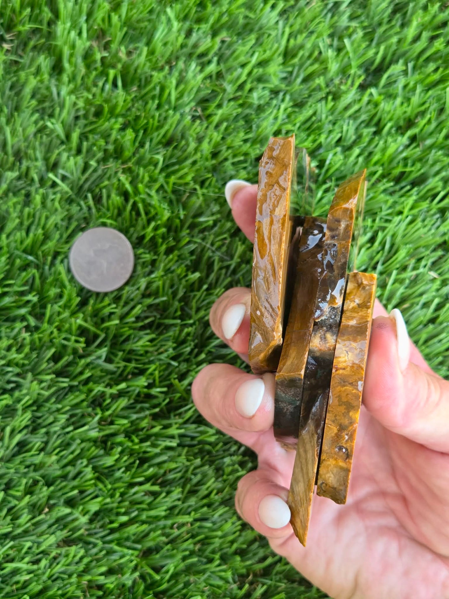 Utah Petrified Wood Slabs J470-473