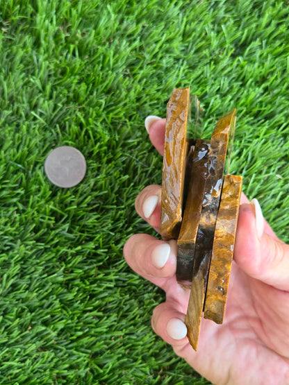 Utah Petrified Wood Slabs J470-473