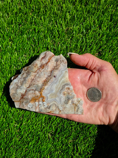 Crazy Lace Agate with Crystal Pockets Slabs O731–735