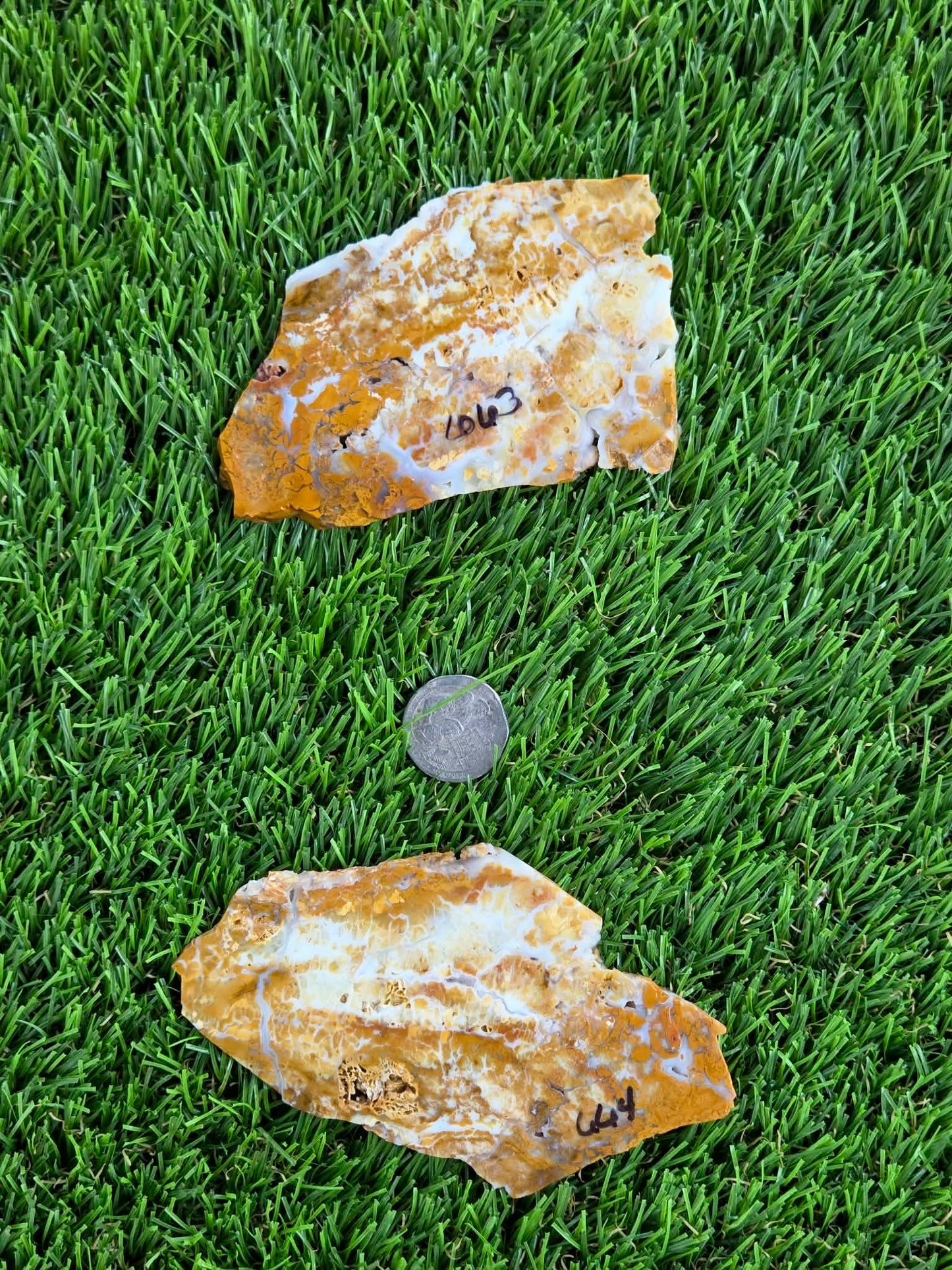 Mexican Honey Fortification Agate Slabs N663-664