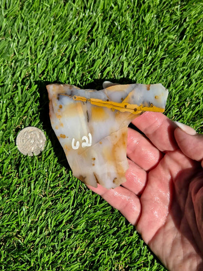 Mascotero Jasper Slabs M618-623