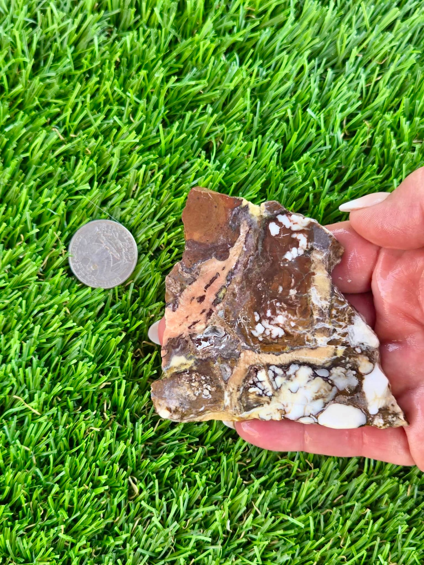 Wild Horse Jasper Slabs G354-359