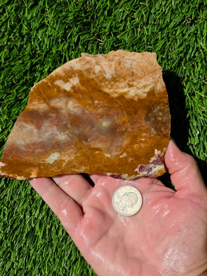 Burro Creek Jasper Slabs R841–847