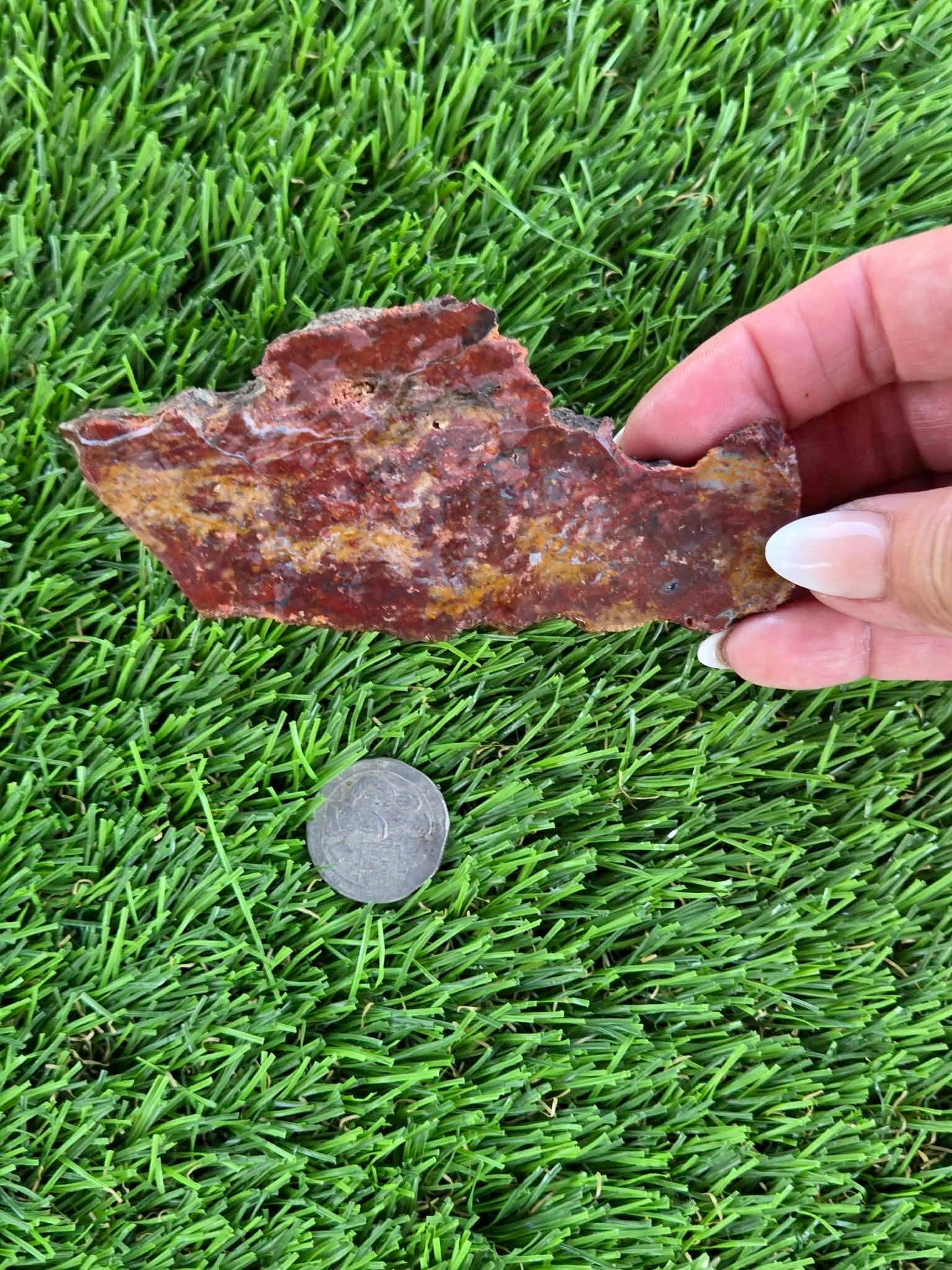Red & Mustard Jasper Slabs N652-657