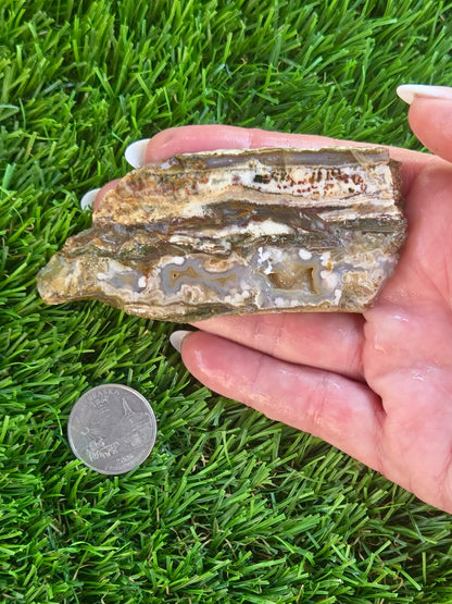 Camp Verde Agate H396-400