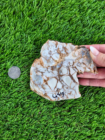Natural Brecciated Jasper Slabs N645-649