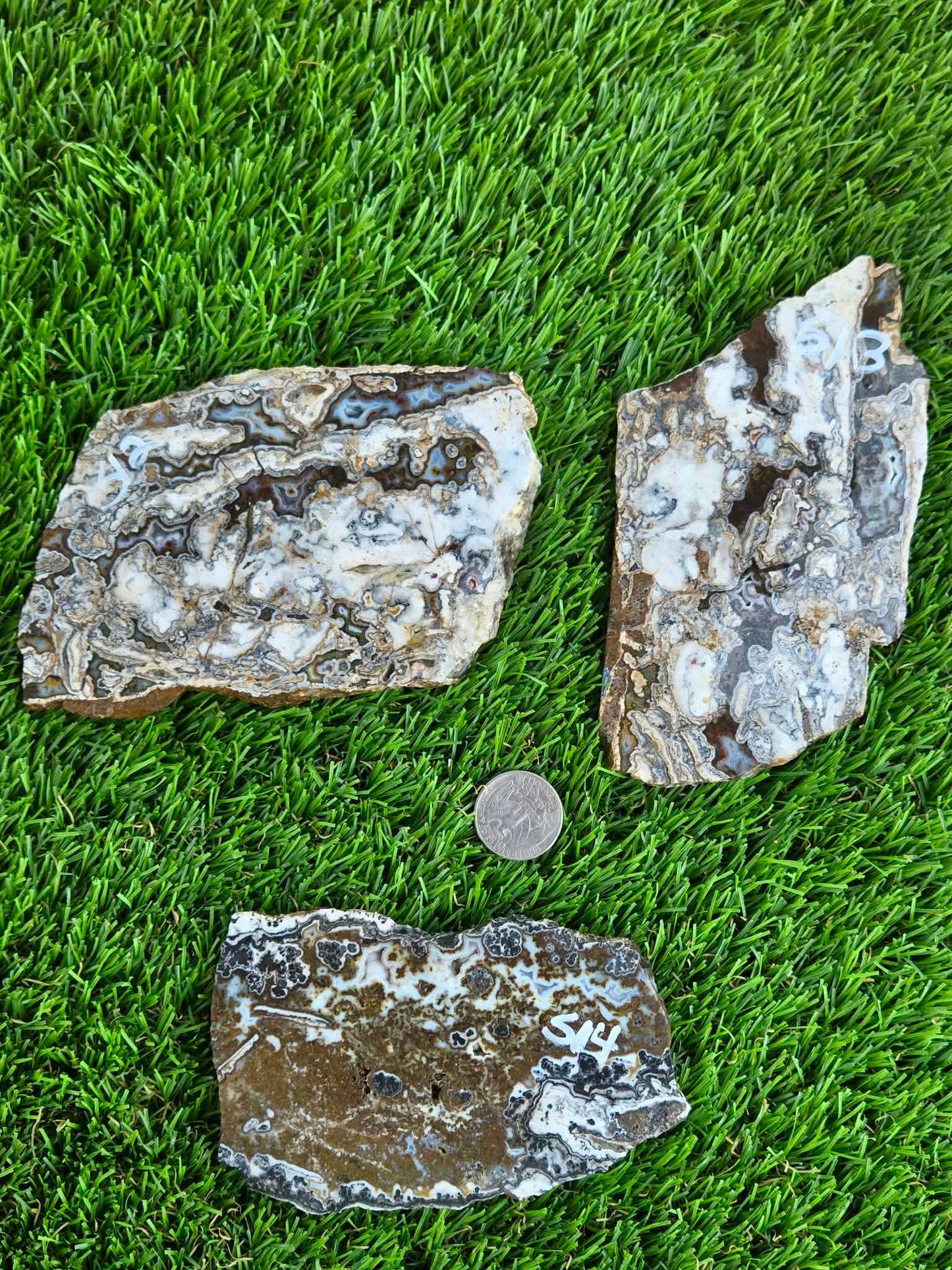 Camp Verde Agate Slabs  K512-515