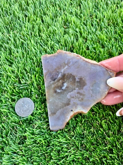 Purple Burro Creek Agate Slab F281-286
