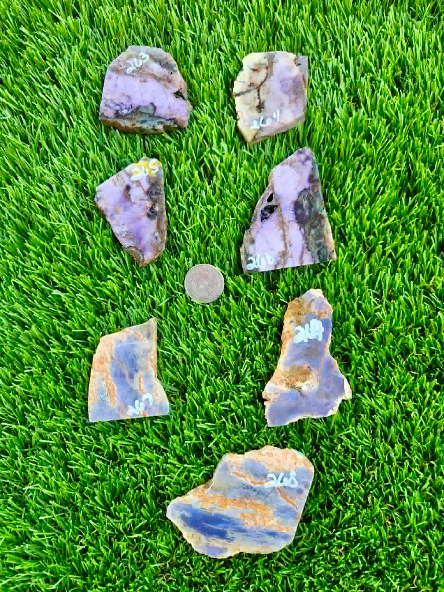 Purple Burro Creek Agate Slab 263-269