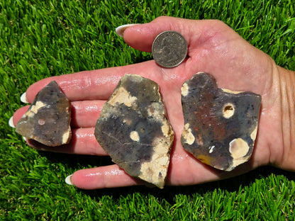 Indonesian Agate Slab Bundle SB102