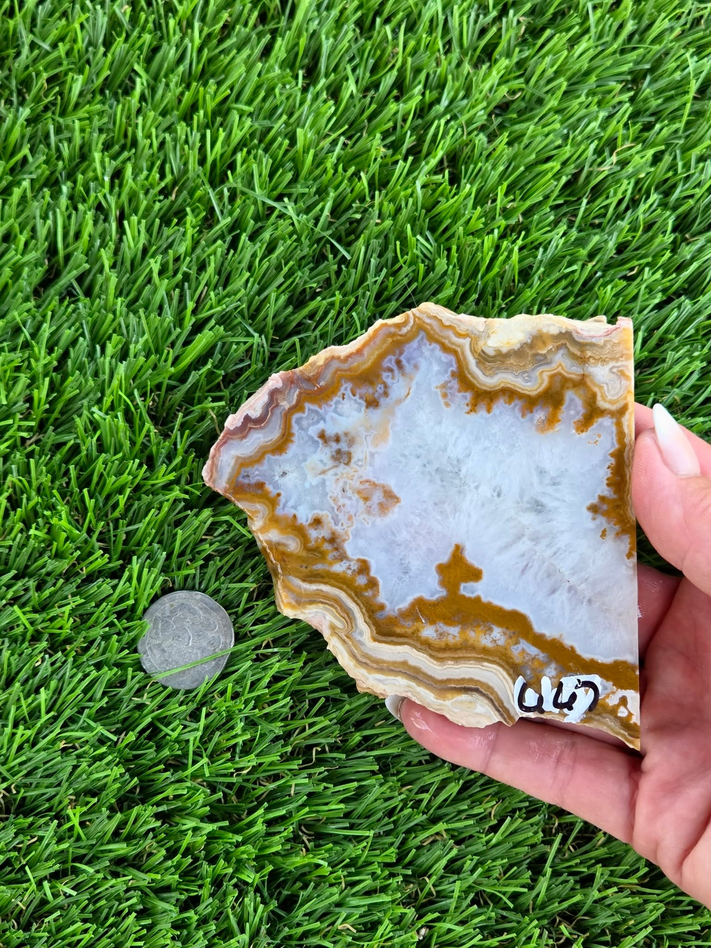 Natural Banded Fortification Agate Slabs N667-668