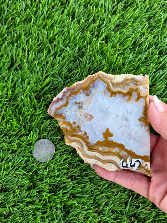 Natural Banded Fortification Agate Slabs N667-668