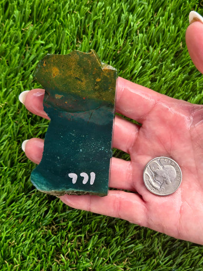 Indonesian Bloodstone Jasper Slabs O767–772