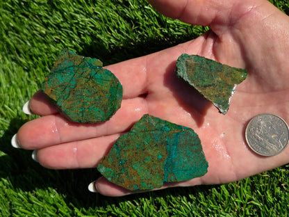 Dominican Mine Chrysocolla & Hematite Slab Bundle SB150