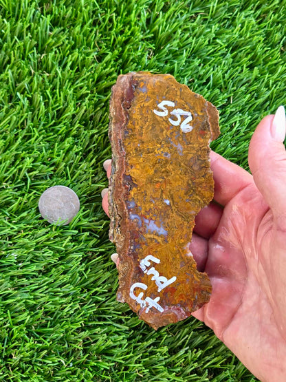 Plume Moss Agate Slabs L553-556