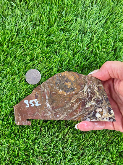 Wild Horse Jasper Slabs G354-359