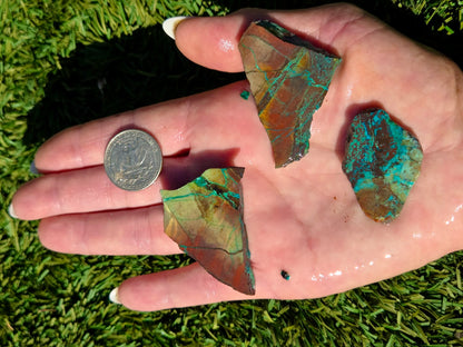 Globe Chrysocolla Slab Bundle-SB60