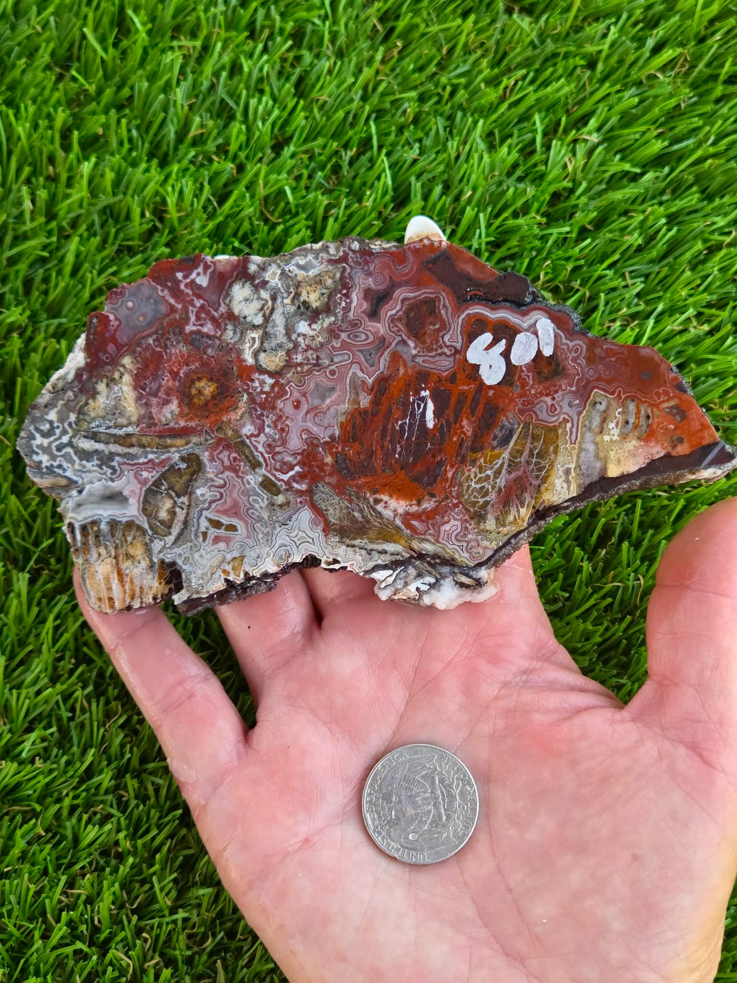Laguna Lace Agate Slabs Q801–804