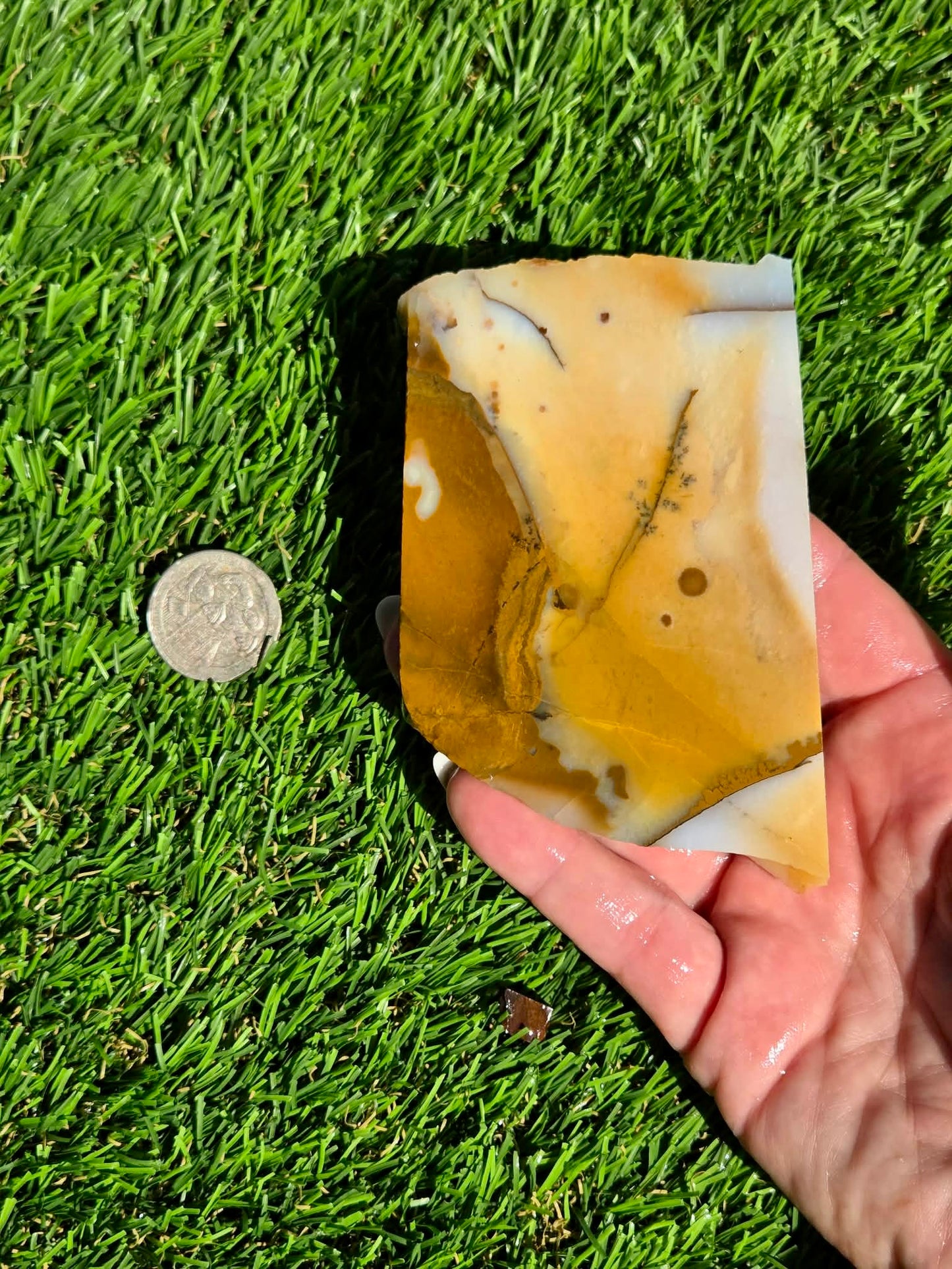 Oregon Polka Dot Jasper Slabs M612-617