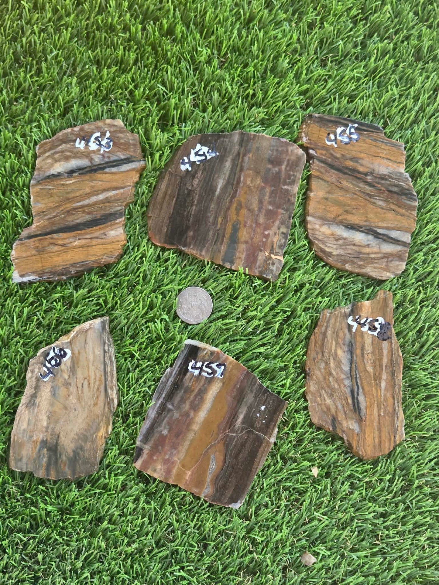 Agatized Petrified Wood Slab I453-458