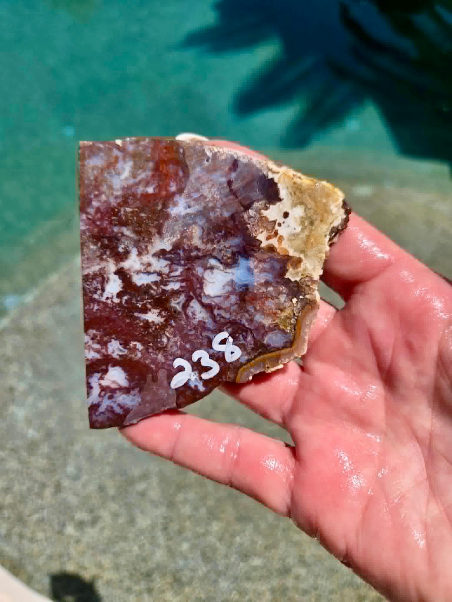 Camp Verde Agate Slab 236-239