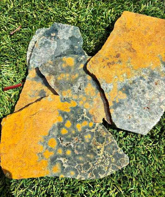 Green and Yellow Sea Jasper