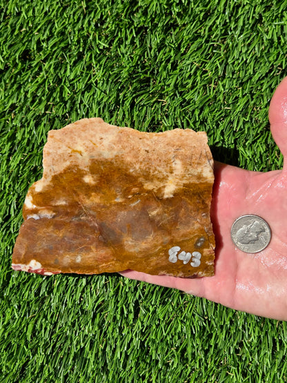 Burro Creek Jasper Slabs R841–847