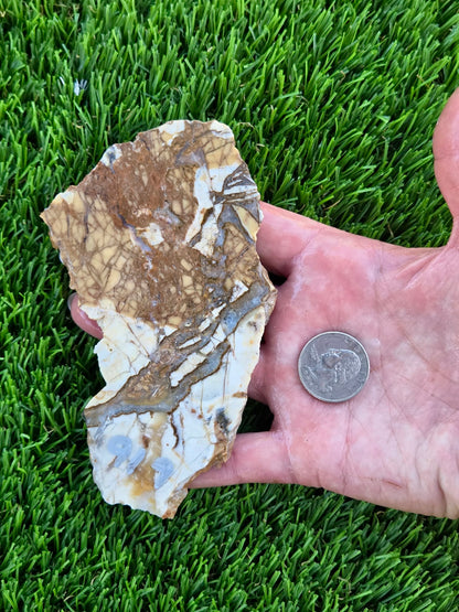 Brecciated Jasper Slabs T917–921
