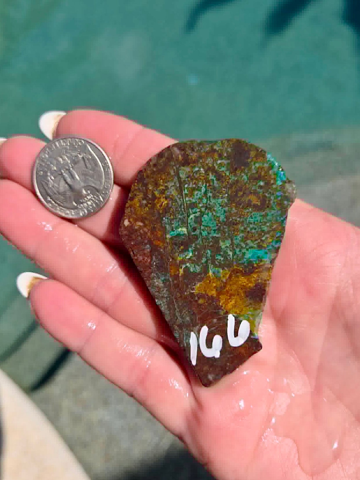 Planet Mine Chrysocolla 
Slab 166-170