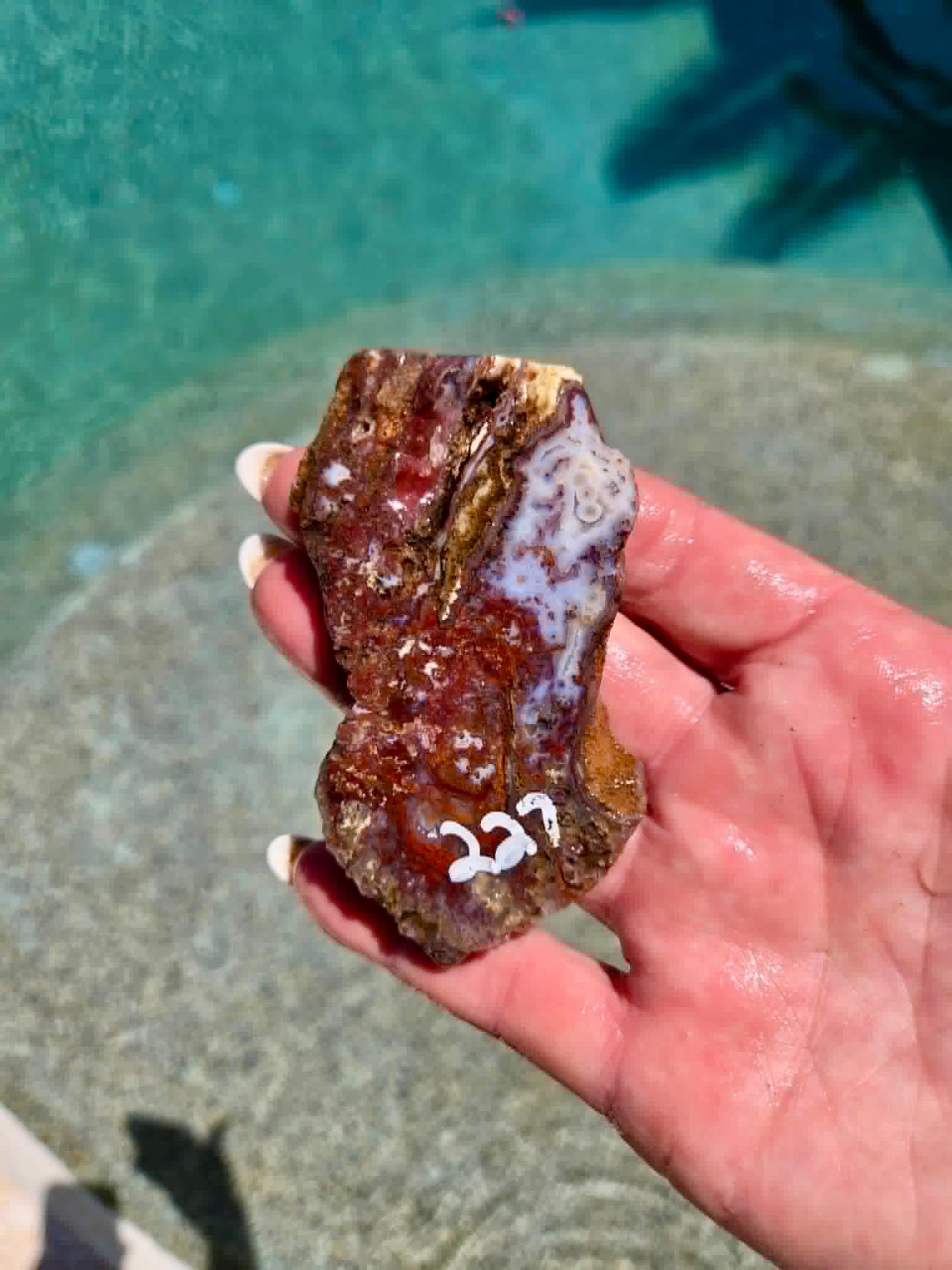 Camp Verde Agate Slab 225-231