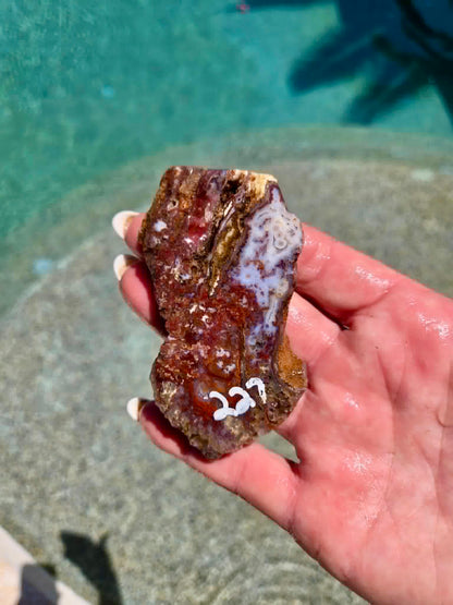 Camp Verde Agate Slab 225-231