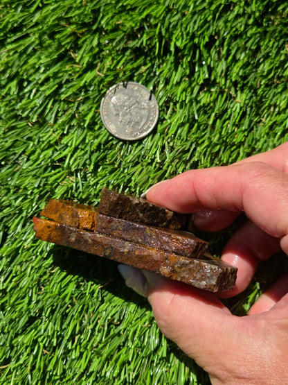 Orange Moss Agate Slab Bundle SB133