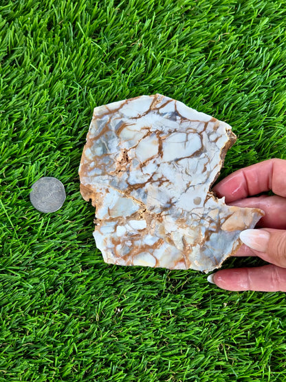 Natural Brecciated Jasper Slabs N645-649