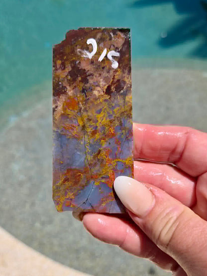 Utah Rainbow Jasper Slab 213-217
