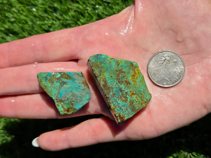 Globe Chrysocolla Slab Bundle-SB6
