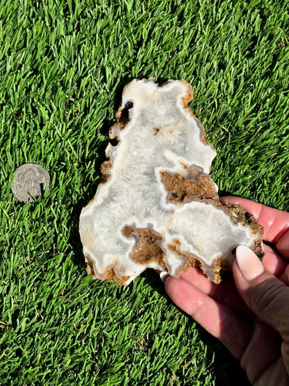 Natural Fortification Agate with Quartz Crystal Druzy Slabs M624-629