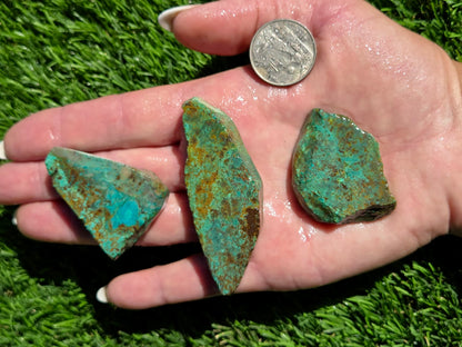 Globe Chrysocolla Slab Bundle-SB18