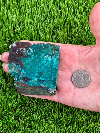 Globe Chrysocolla & Malachite Slabs V991–995