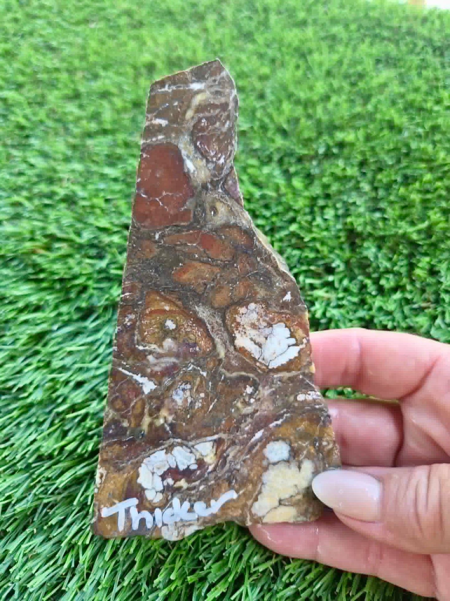 Globe Arizona Brecciated Jasper G349-353