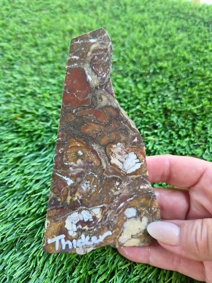 Globe Arizona Brecciated Jasper G349-353