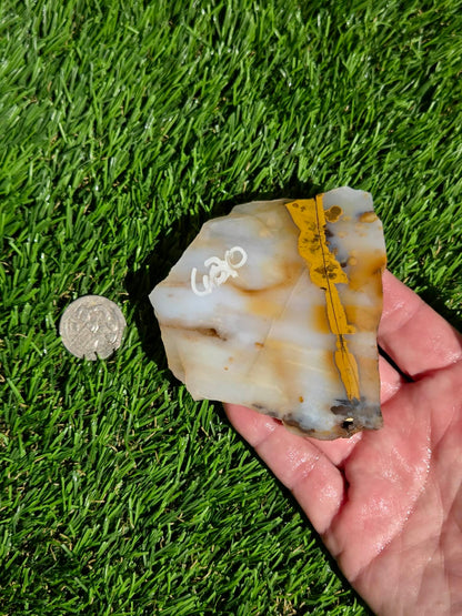 Mascotero Jasper Slabs M618-623