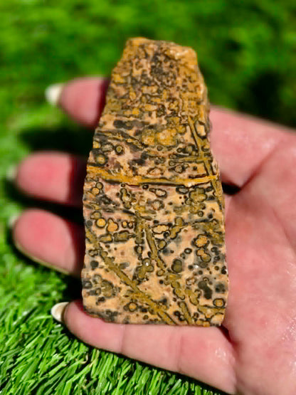 Leopard Skin Jasper Slabs H371-378