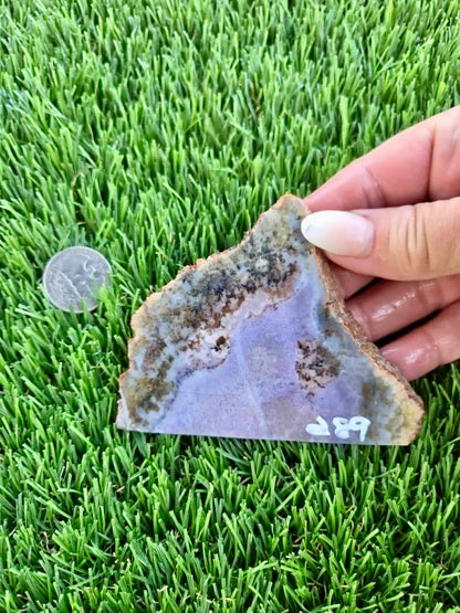 Purple Burro Creek Agate Slab F287-292