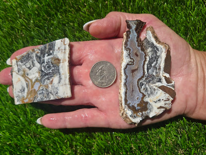 Camp Verde Agate Slab Bundle SB62