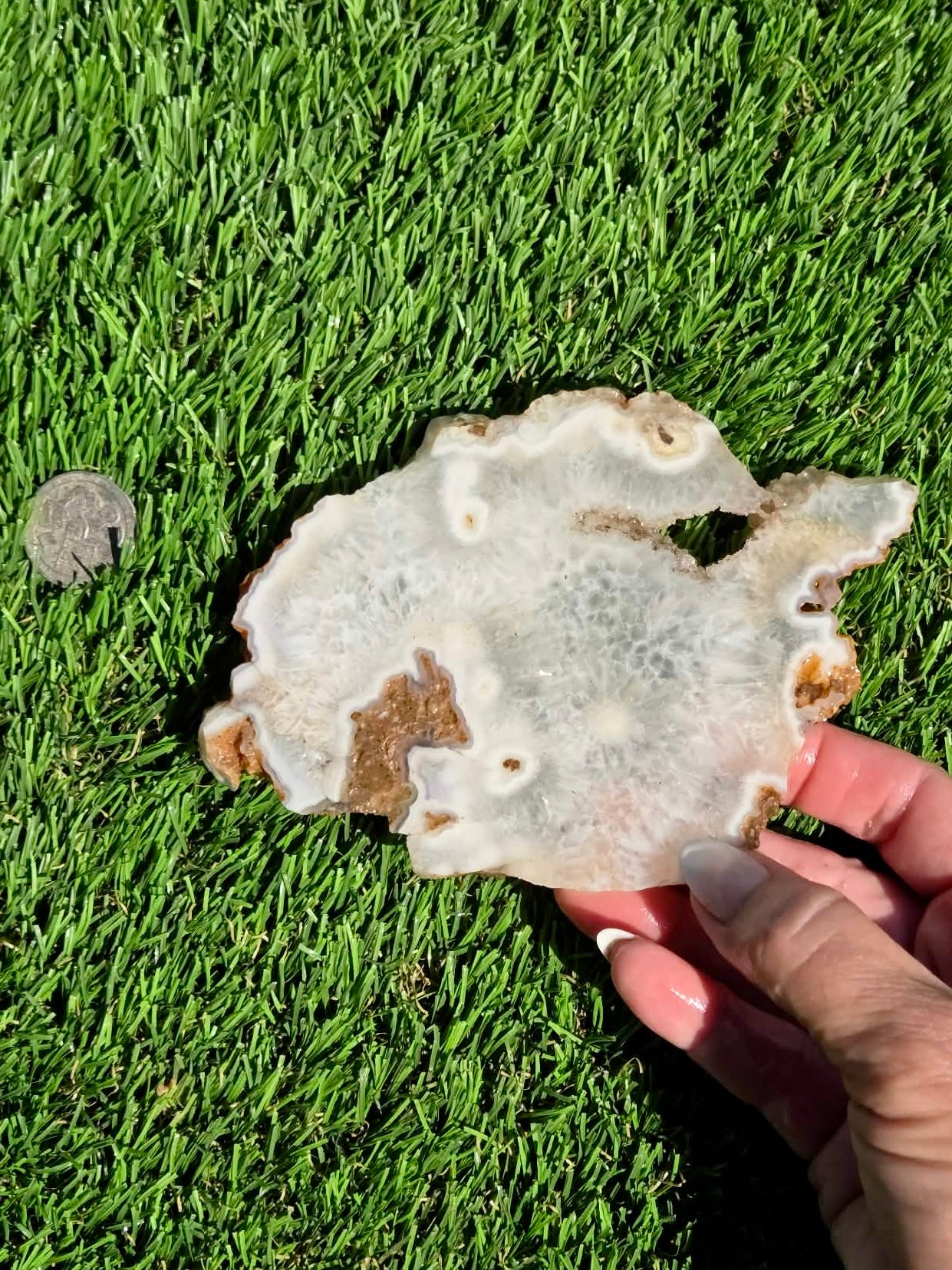 Natural Fortification Agate with Quartz Crystal Druzy Slabs M624-629