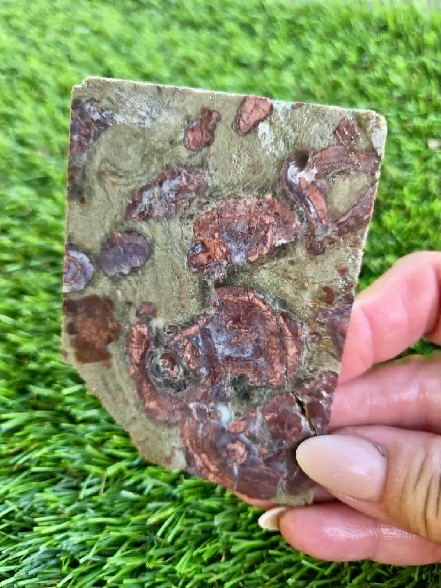 Green Mushroom Rhyolite Slabs G360-362