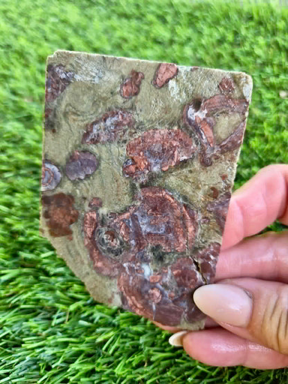 Green Mushroom Rhyolite Slabs G360-362