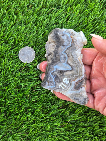 Gray Banded Crazy Lace Agate Slabs O717–723