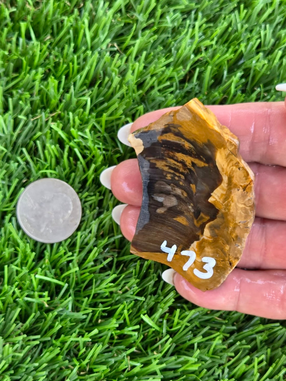 Utah Petrified Wood Slabs J470-473