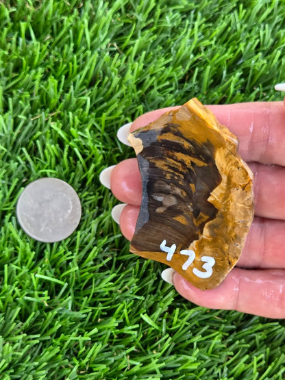Utah Petrified Wood Slabs J470-473